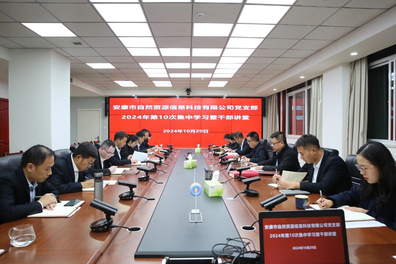 市自然資源信息科技有限公司黨支部開(kāi)展2024年第十次集中學(xué)習暨干部講堂