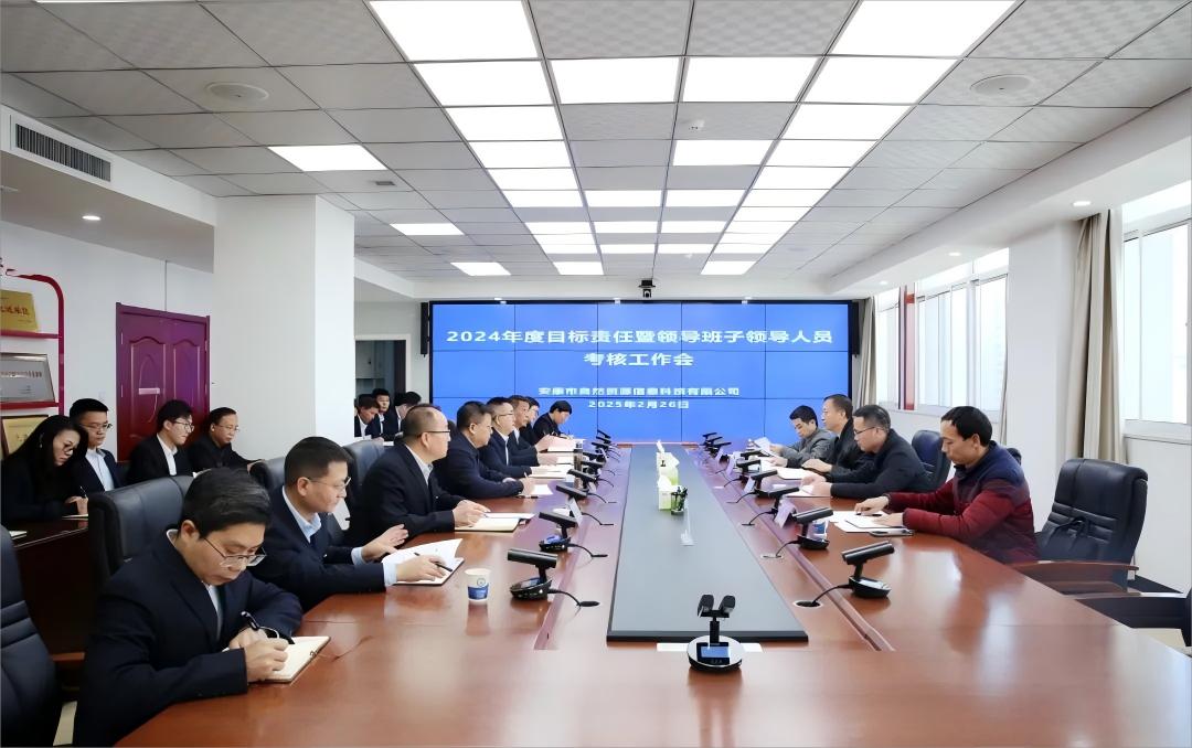 市國資委考核市自然資源信息科技有限公司2024年度工作
